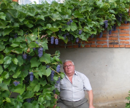 Владимир Николаев 2