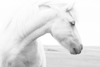 Жанна Ованесова