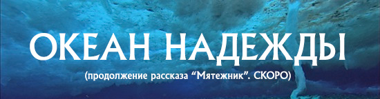 Эхо Рассвета