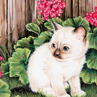 Юлия Синичкина 23