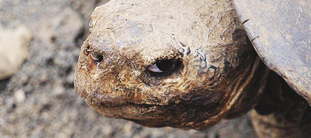 Парменова Ксения