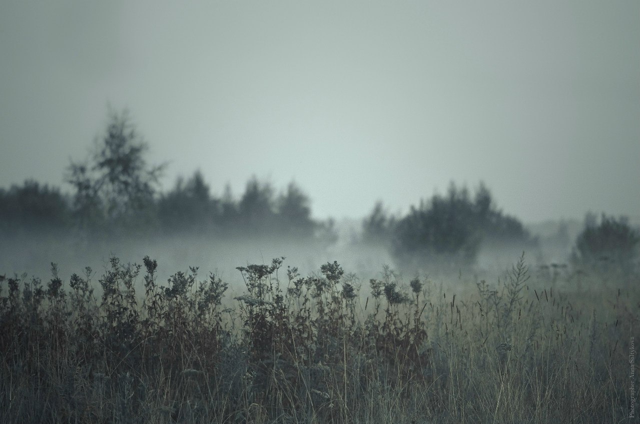 Дарья Кудрицкая