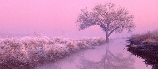 Татьяна Сергеевна