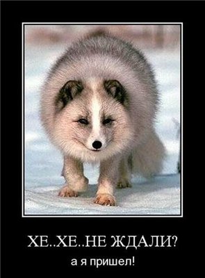 Куча Обдолбащенко