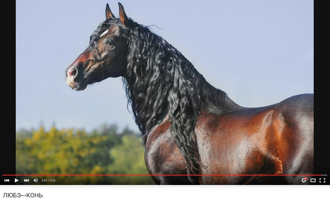 Кузмичев Святослав