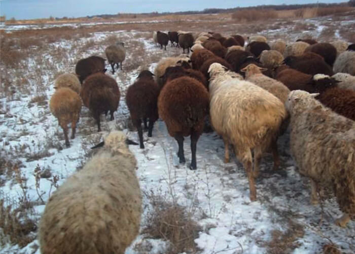 Кузьмич Из Чугуево