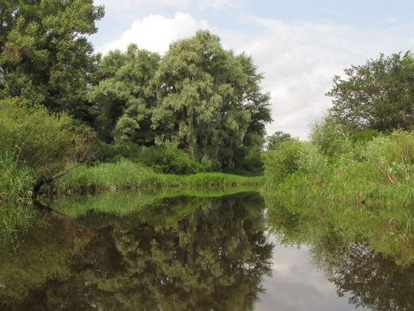 Лина Соловьева