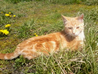 Алексей Бурматов