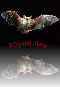 Юрий Леж