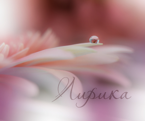 Братислав Либертус Лирик