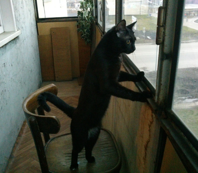 Логинов Сергей