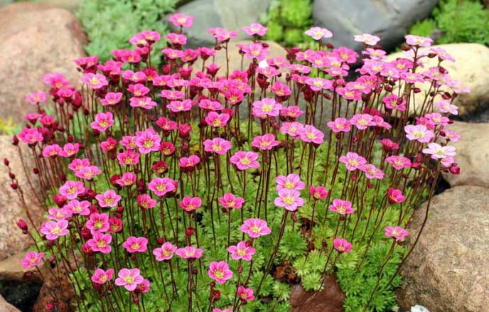 Илья Усиков