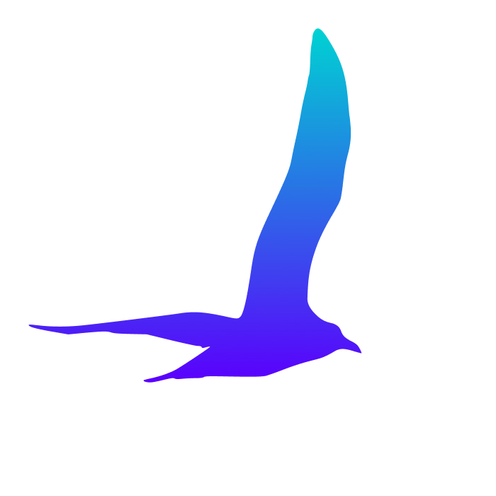 Скачков Максим