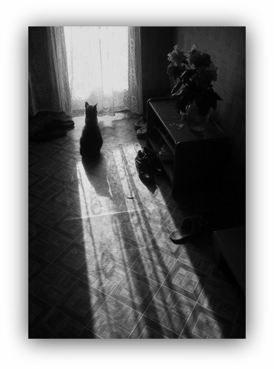 Татьяна Мяучка