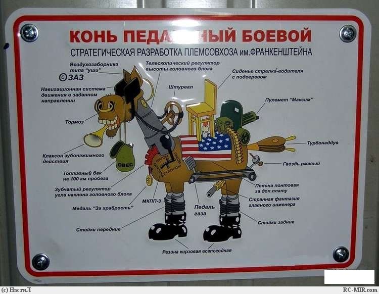 Брэдд Михаэль