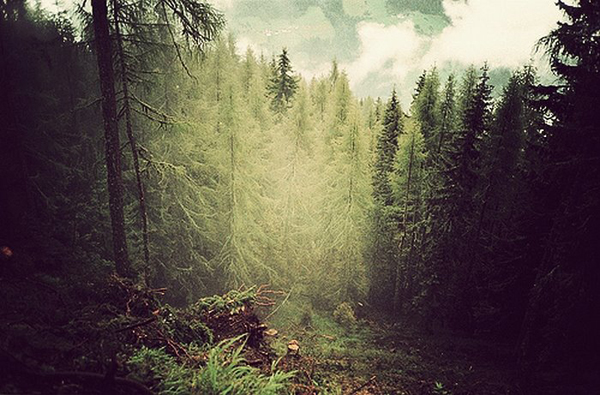 Сергей Владимирович Покровский