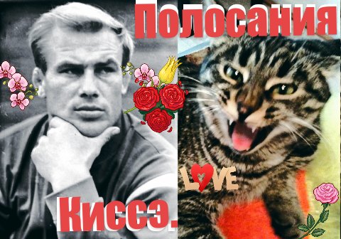 Владимир Сергеевич Мусатов