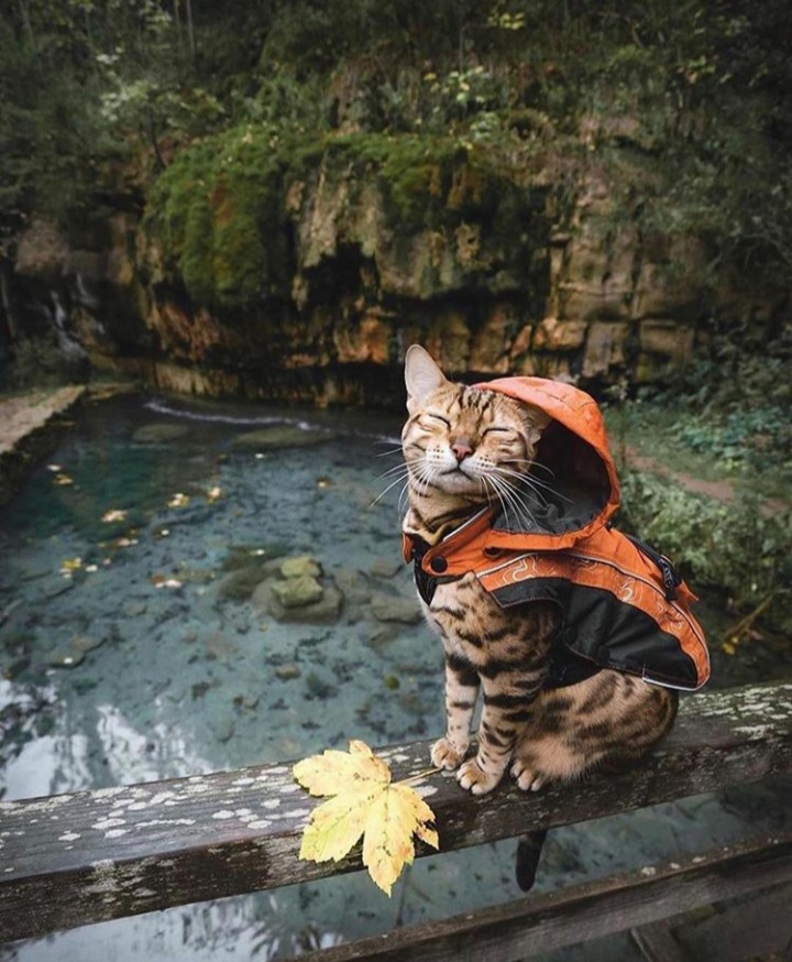 Артюхова Наталия