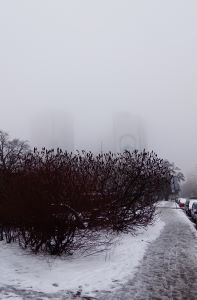 Немытый Гарри