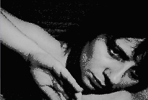 Несиамская