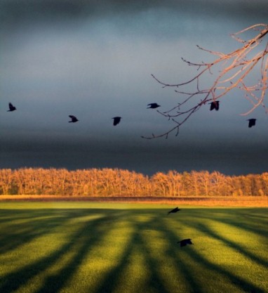 Николай Белоглазов