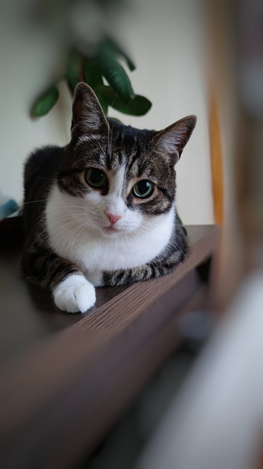 Марина Бокар