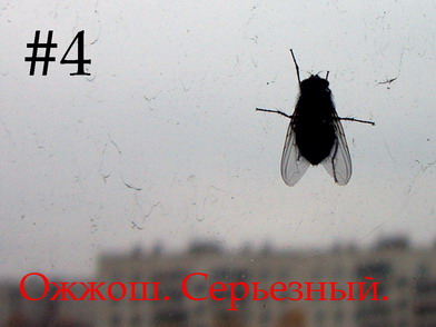 Ожжош