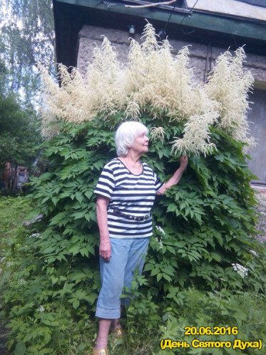 Юлия Иоаннова