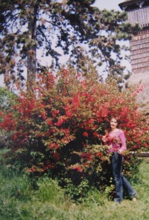 Ладослава Идущая