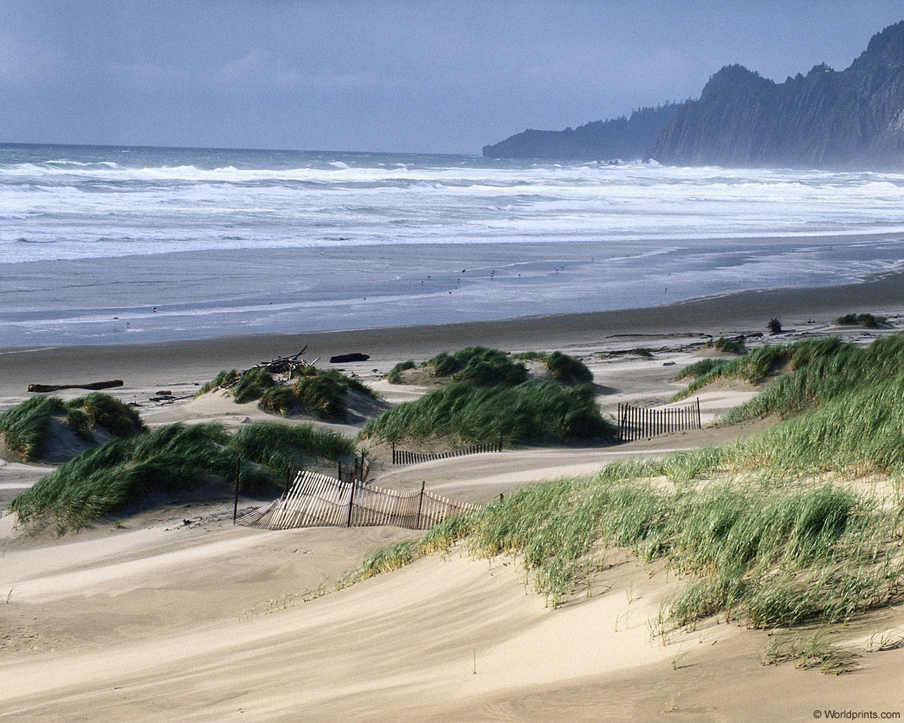 Владислав Поваров