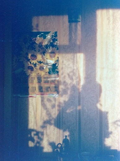 Нина Шаламова