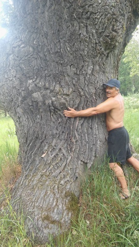 Владимир Радимиров