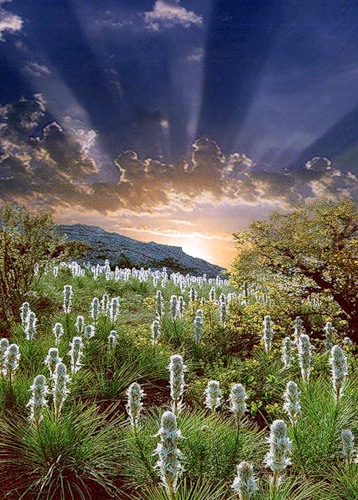 Александр Балод