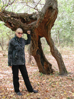 Галина Шефер