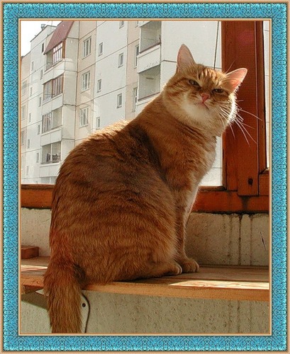Людвик 34