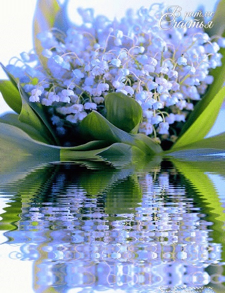 Татьяна Ульянина-Васта