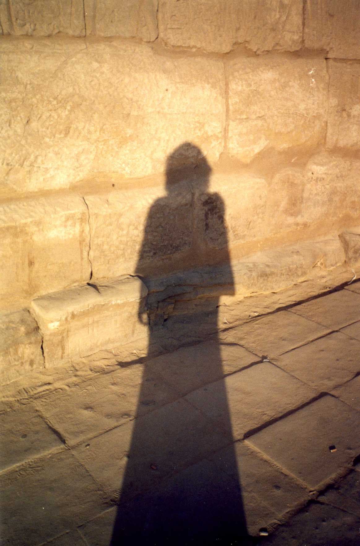 Ольга Слободкина