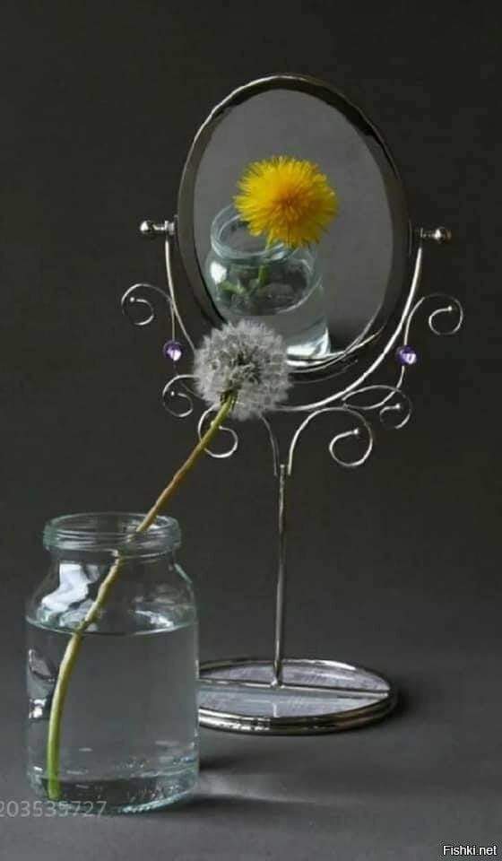 Александра Зарубина 1