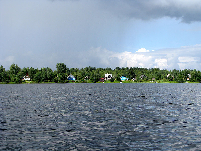 Игорь Суриков