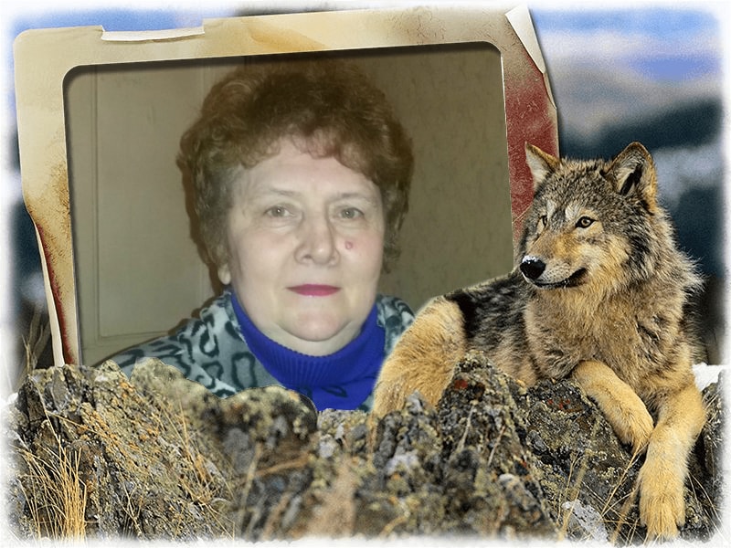 Волчиха