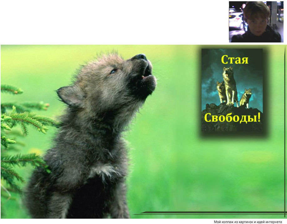 Алла Тангейзер