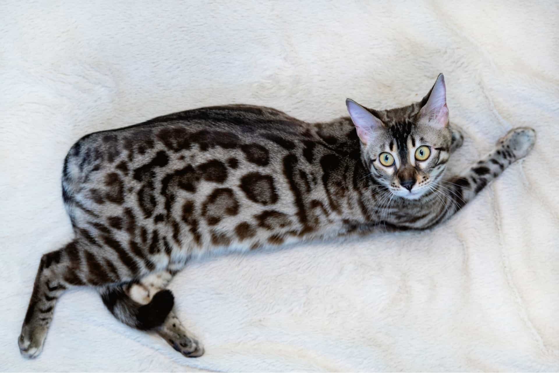 Эдуард Тубакин