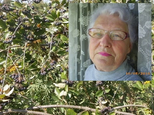 Честная Спекулянтка