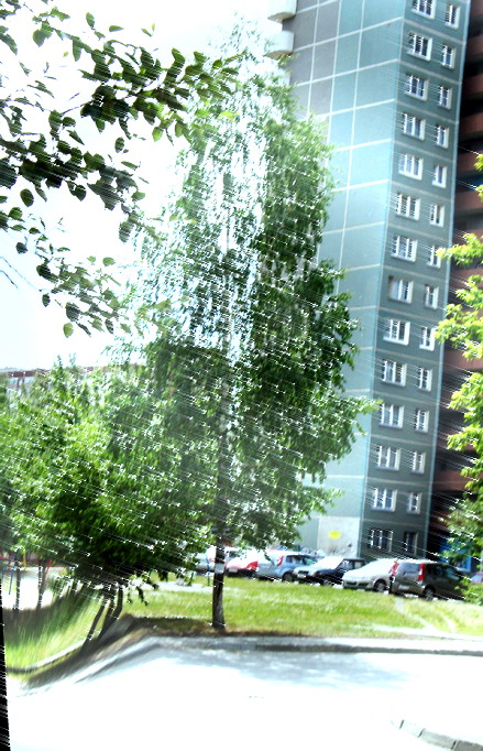 Улексия Миссосупова