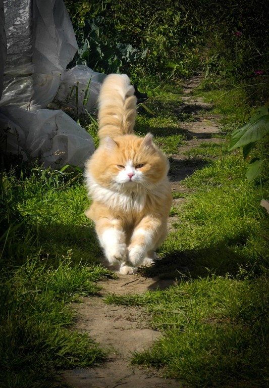 Валерий Геннадьевич