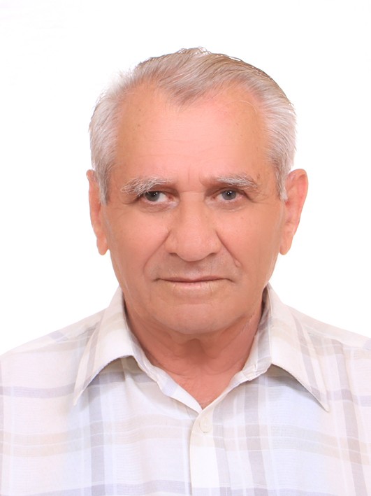 Василий Чеботарёв