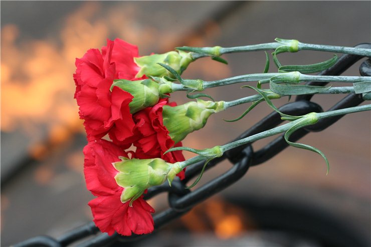 Познавшие Вечность