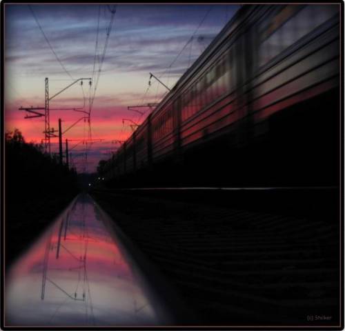 Нелле Конгрейв