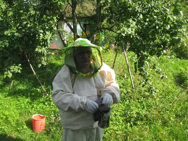 Медовик Пчеловод