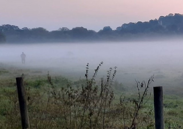 Виктор Виров